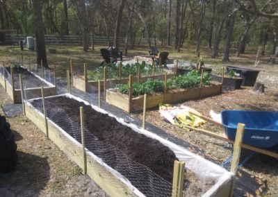 raised bed ready 7