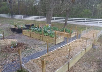 raised bed ready 8