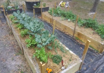 raised bed ready 9