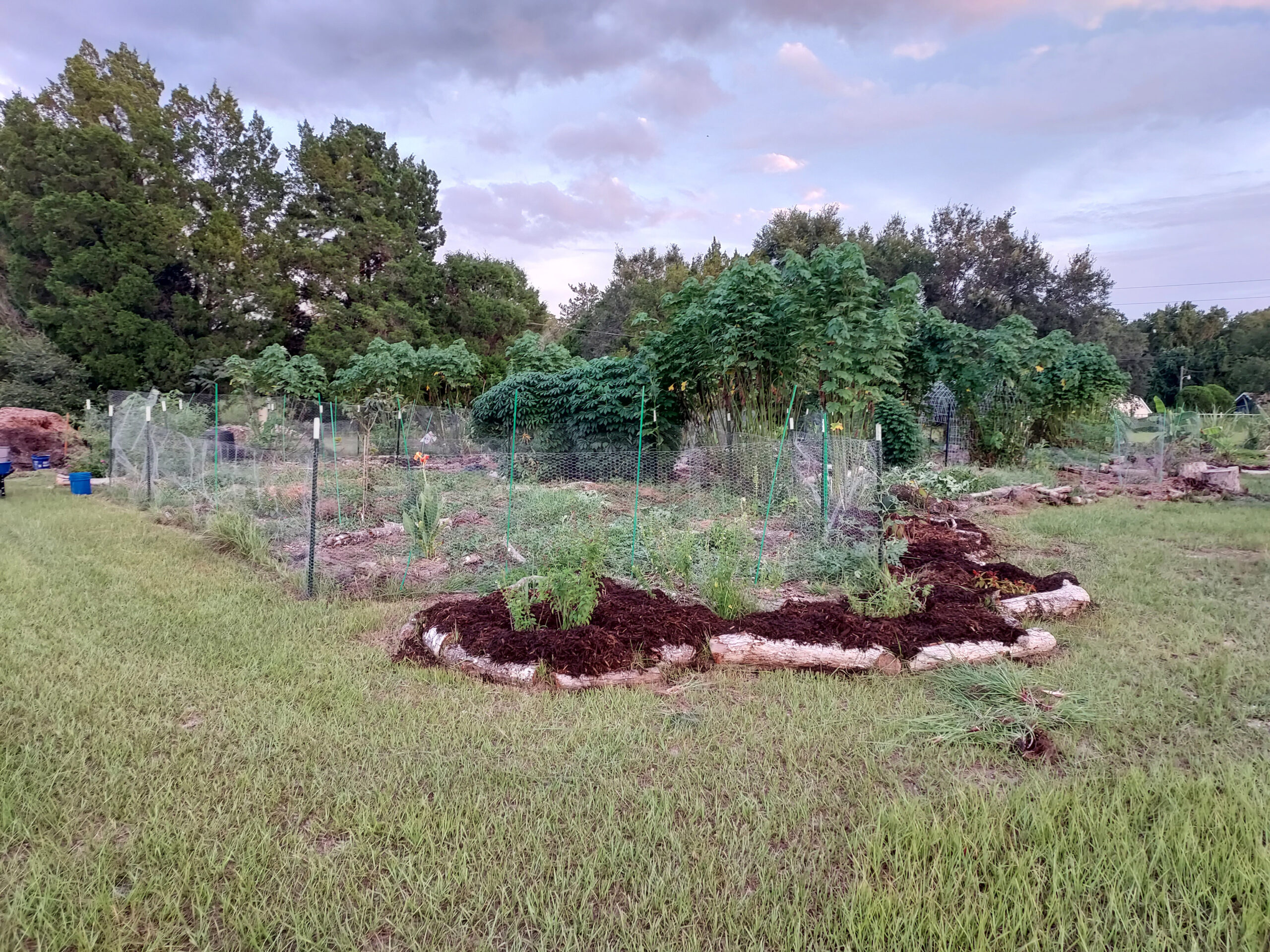 F.I.G.S kit installed. Edible, native, medicinal, and beginners gardening kit still in progress